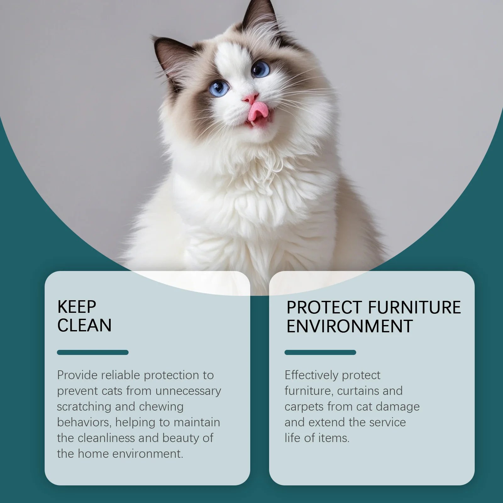 100ml Pet Deterrent Spray for Cats and Dogs Bitter Training Aid to Discourage Chewing and Scratching Safe Indoor Use on Furnitur