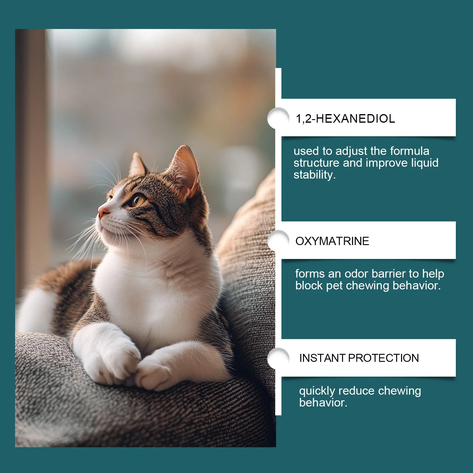 100ml Pet Deterrent Spray for Cats and Dogs Bitter Training Aid to Discourage Chewing and Scratching Safe Indoor Use on Furnitur