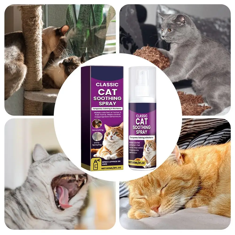Cat Stress Relief Spray 100ml Calming Solution Scratch Prevention Natural Plant-Based Acts Quickly Cat Calming Spray For
