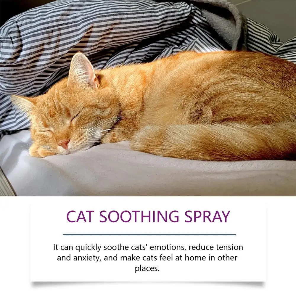 Cat Stress Relief Spray 100ml Calming Solution Scratch Prevention Natural Plant-Based Acts Quickly Cat Calming Spray For