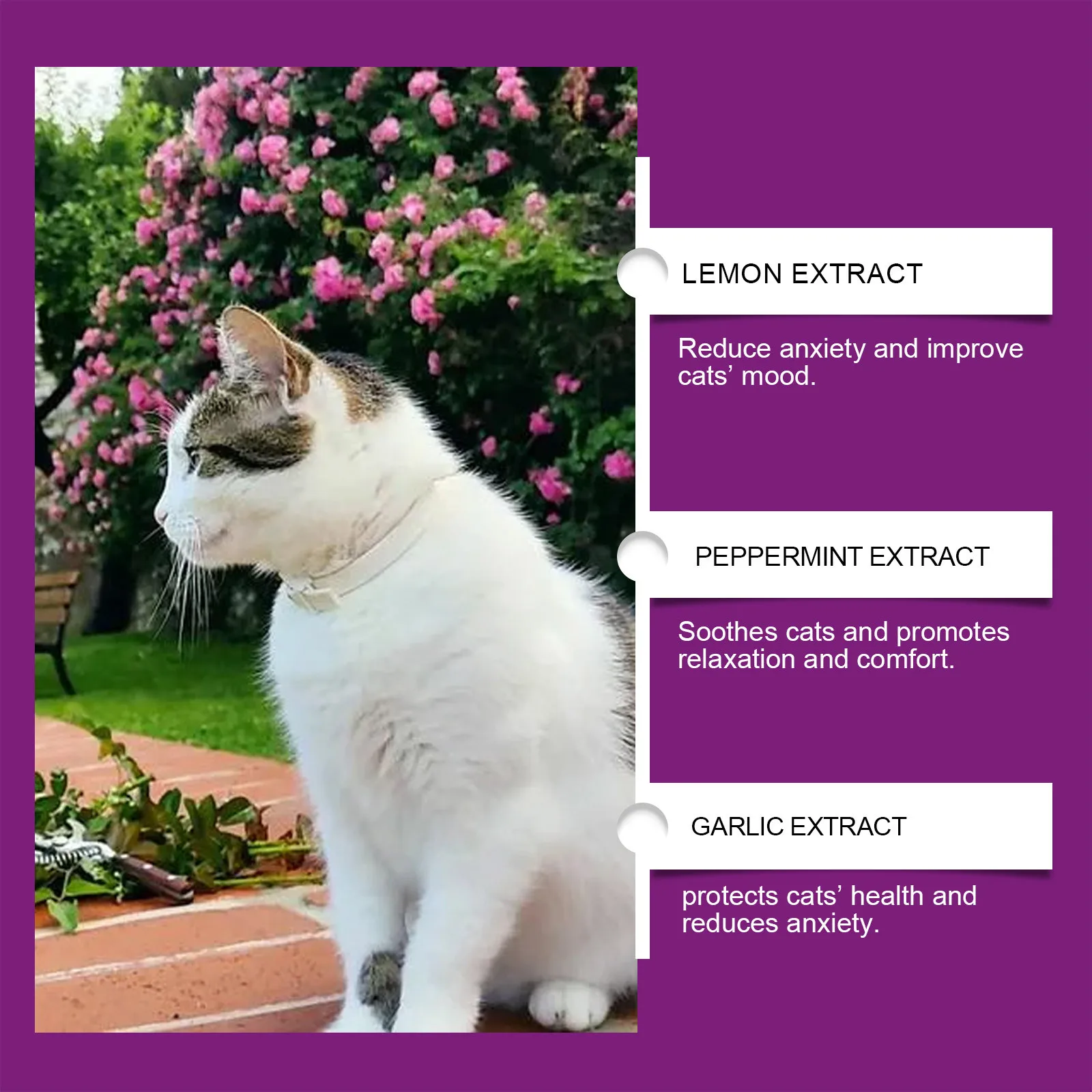 60ml Pet Calming Spray Prevent Howling Reduce Anxiety Soothe Mood Pet Dog Cat Estrus Calming Prohibition Spray Pet Supplies