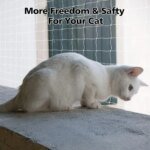 1pc Different Sizes Transparent Cat Safety Net for Balcony and Stairs - Prevents Pet Falls and Escapes - Image 2