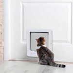 Electronic Induction Dog Cat Door Automatic Smart Pet Safe Door Cat Flap with Microchip Sensor Controllable Direction Cat - Image 3