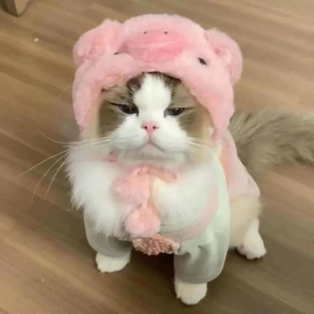 Funny Cat Cap Bear Plush Head Cover Cute Cat Dog Woven Warm Headdress Pet Hat Kitten Puppy Cosplay Costume Accessories