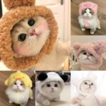 Funny Cat Cap Bear Plush Head Cover Cute Cat Dog Woven Warm Headdress Pet Hat Kitten Puppy Cosplay Costume Accessories