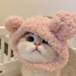 Funny Cat Cap Bear Plush Head Cover Cute Cat Dog Woven Warm Headdress Pet Hat Kitten Puppy Cosplay Costume Accessories - Image 3