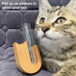 Cat Beard Storage Box Mini Wooden Test Tube Vase for Whiskers Cat Whisker Collection Refrigerator Magnet Pet Hair Bottles - Image 2