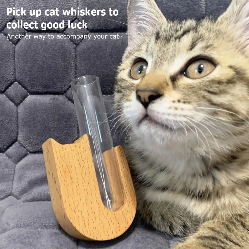 Cat Beard Storage Box Mini Wooden Test Tube Vase for Whiskers Cat Whisker Collection Refrigerator Magnet Pet Hair Bottles Cat Beard Storage Box Mini Wooden Test Tube Vase for Whiskers Cat Whisker Collection Refrigerator Magnet Pet Hair Bottles