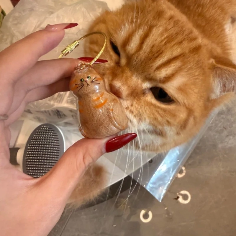 Ginger Cat Keychain Pendant Backpack Siamese Calico Hair Storage Box Hanging Pet Grooming Souvenir Travel Accessory