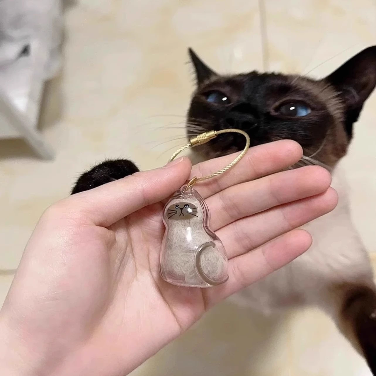 Ginger Cat Keychain Pendant Backpack Siamese Calico Hair Storage Box Hanging Pet Grooming Souvenir Travel Accessory