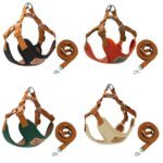 Cartoon Cute Pet Harness Leash Adjustable No Pull Dog Collar Harness Anti-Escape Dog Harness Outdoor Walking Travel - Image 3