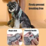 Cats Dog Accessories Small Dog Collar Safety Vest Pet Chest Rope Dogs Cover Breathable Adjustable Harnesses Supplies Products - Image 3