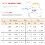 Winter Cat Dog Clothes with Buckle Sweet Bear Print Pet Plush Sweater for Small Dogs Pomeranian Chihuahua Puppy Button Jacket - Image 2