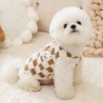Winter Cat Dog Clothes with Buckle Sweet Bear Print Pet Plush Sweater for Small Dogs Pomeranian Chihuahua Puppy Button Jacket - Image 4