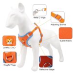 Pet Dog Harness and Leash Set Adjustable Flannel Chest Harness Reflective Breathable For Small Dogs Teddy Chihuahua Pet Supplies - Image 3