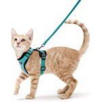 Cat Harness and Leash for Walking, Escape Proof Soft Adjustable Vest Harnesses for Cats, EasyControl - Image 3