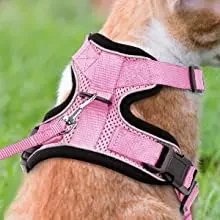 Cat Harness and Leash for Walking, Escape Proof Soft Adjustable Vest Harnesses for Cats, EasyControl Cat Harness and Leash for Walking, Escape Proof Soft Adjustable Vest Harnesses for Cats, EasyControl