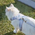 Pet Dog Harness and Leash Set, Suitable for Small, Medium and Large Dogs - I-Shaped Design, Pet Leash and Harness Set, Safe Pet Vest, Cute Flower Decoration, Adjustable Dog Harness - Image 5