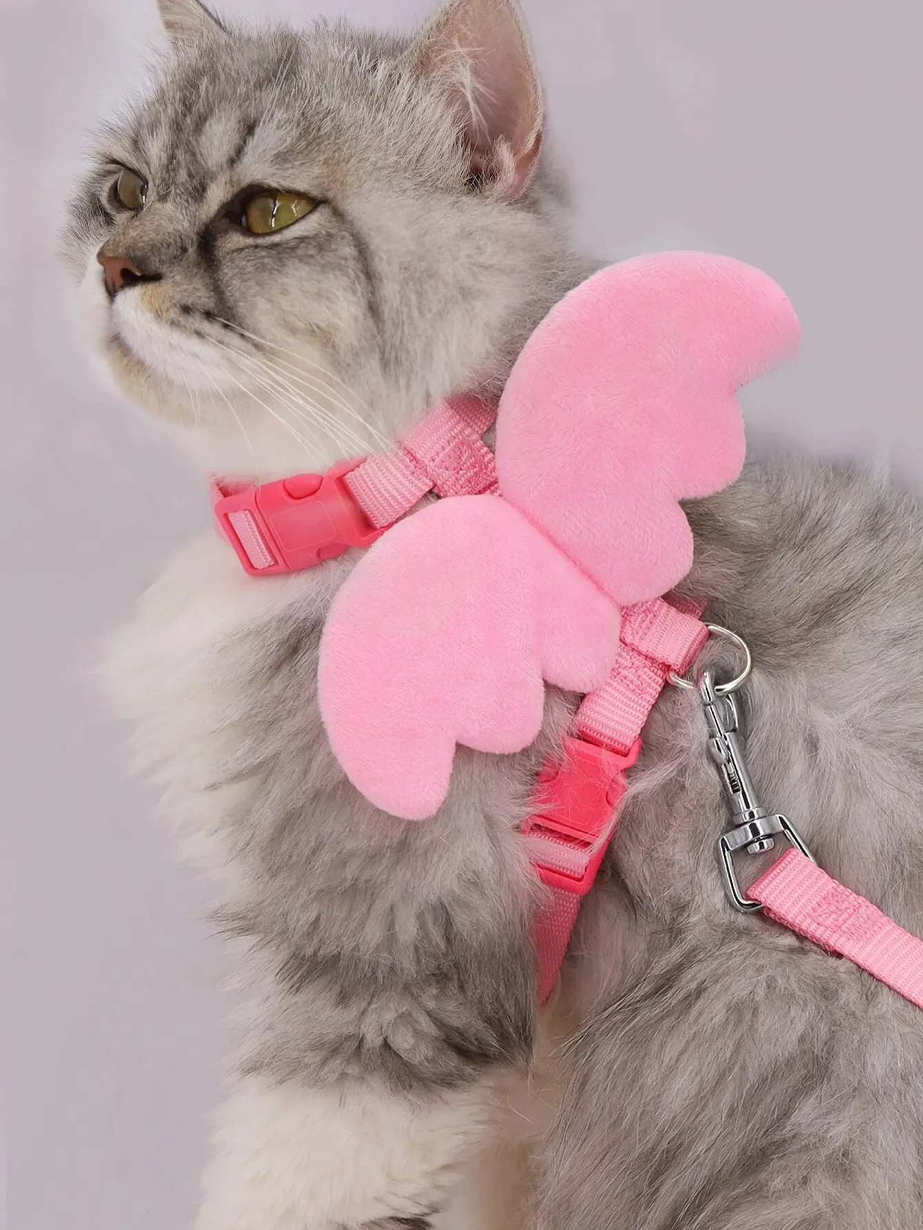 Cute Angel Wing Pet Rabbit Harness and Leash for Cats Rabbits Personalized Rabbit Harnesses Bunny Accessories Hamster Clothes Cute Angel Wing Pet Rabbit Harness and Leash for Cats Rabbits Personalized Rabbit Harnesses Bunny Accessories Hamster Clothes