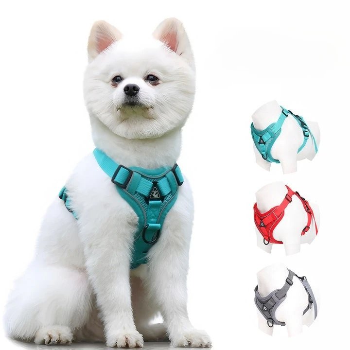 Fashion Reflective Cat Harness and Leash Sets Breathable Mesh Pet Harnesses for Small Dogs Cats Kitten Accessories Collier Chat