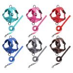 Fashion Reflective Cat Harness and Leash Sets Breathable Mesh Pet Harnesses for Small Dogs Cats Kitten Accessories Collier Chat - Image 5