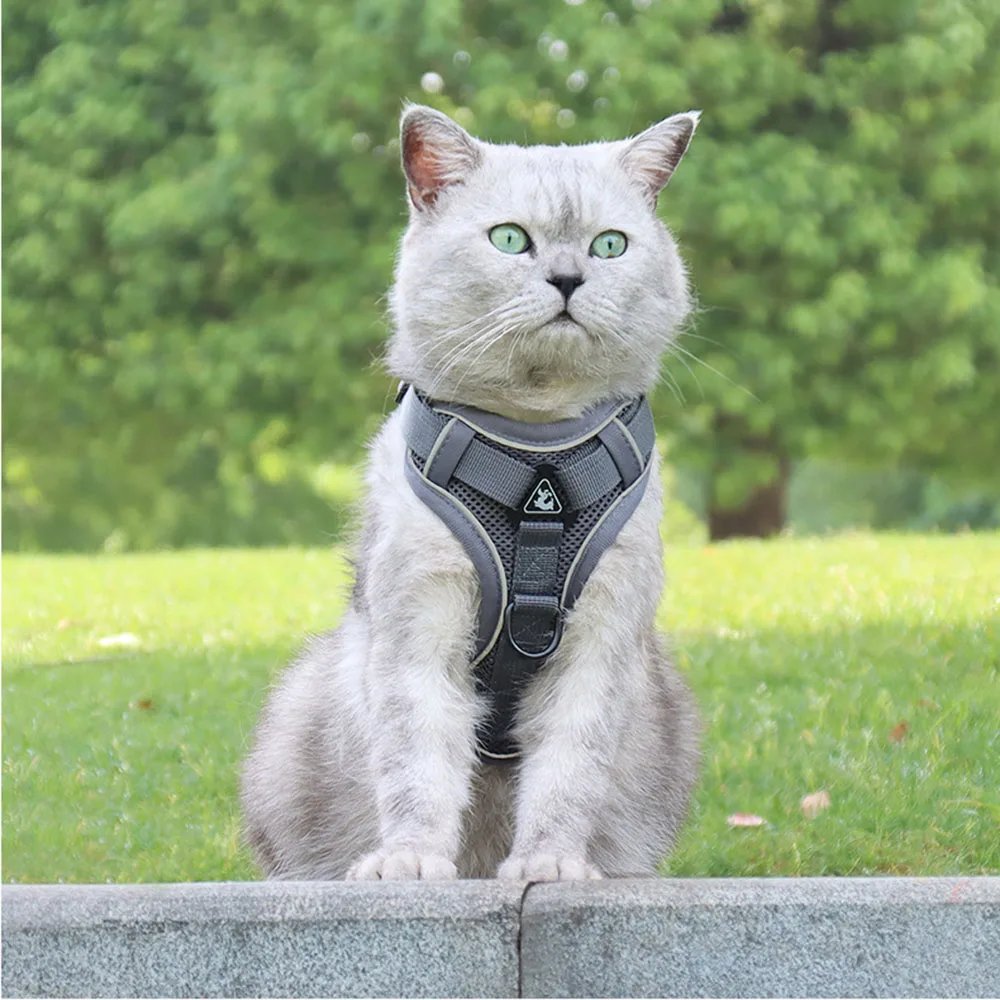 Cat Harness Escape Proof Breathable Cat Harness and Leash for Walking Outdoor Easy Control Pet Dog Cat Leash Reflective Harness Cat Harness Escape Proof Breathable Cat Harness and Leash for Walking Outdoor Easy Control Pet Dog Cat Leash Reflective Harness