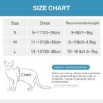Adjustable Anti-Escape Small Cat Belt Kitten Harness Light Breathable Soft Pet Vest Wiring Harness Traction Belt Kitten Walking - Image 4
