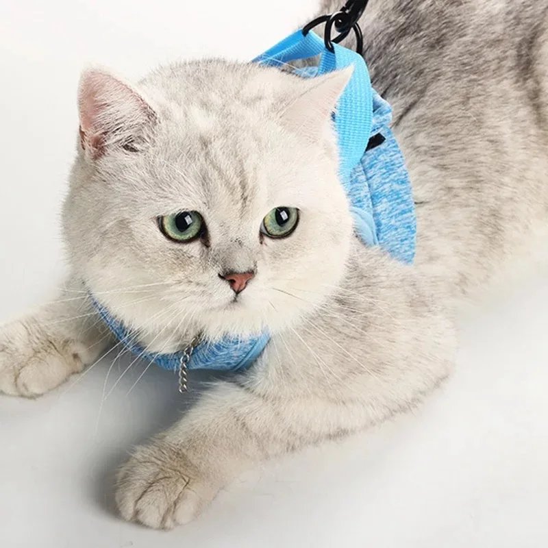 Adjustable Anti-Escape Small Cat Belt Kitten Harness Light Breathable Soft Pet Vest Wiring Harness Traction Belt Kitten Walking Adjustable Anti-Escape Small Cat Belt Kitten Harness Light Breathable Soft Pet Vest Wiring Harness Traction Belt Kitten Walking