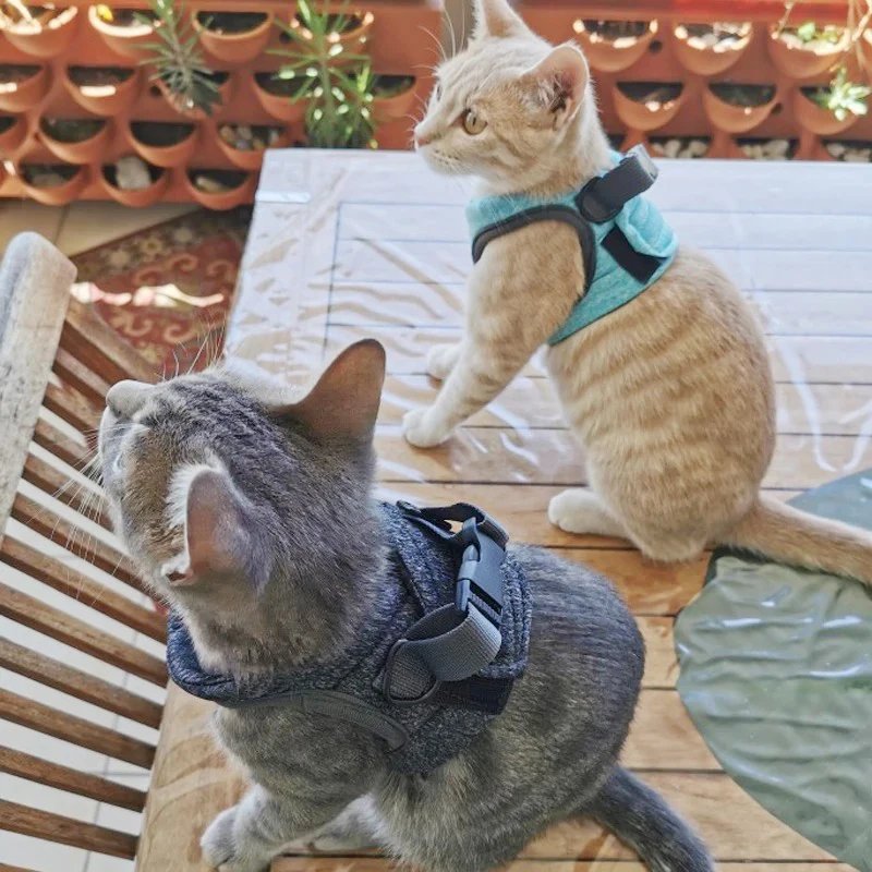 Adjustable Anti-Escape Small Cat Belt Kitten Harness Light Breathable Soft Pet Vest Wiring Harness Traction Belt Kitten Walking Adjustable Anti-Escape Small Cat Belt Kitten Harness Light Breathable Soft Pet Vest Wiring Harness Traction Belt Kitten Walking