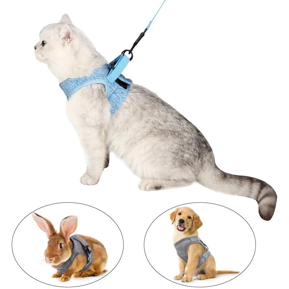 Adjustable Anti-Escape Small Cat Belt Kitten Harness Light Breathable Soft Pet Vest Wiring Harness Traction Belt Kitten Walking Adjustable Anti-Escape Small Cat Belt Kitten Harness Light Breathable Soft Pet Vest Wiring Harness Traction Belt Kitten Walking