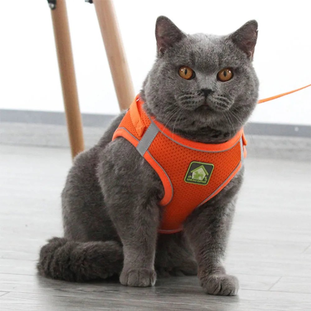 Adjustable Breathable Pet Dog Cat Harness and Leash Escape Proof Cat Vest Harness Puppy Dog Kitten Leads Reflective Cat Collar Adjustable Breathable Pet Dog Cat Harness and Leash Escape Proof Cat Vest Harness Puppy Dog Kitten Leads Reflective Cat Collar