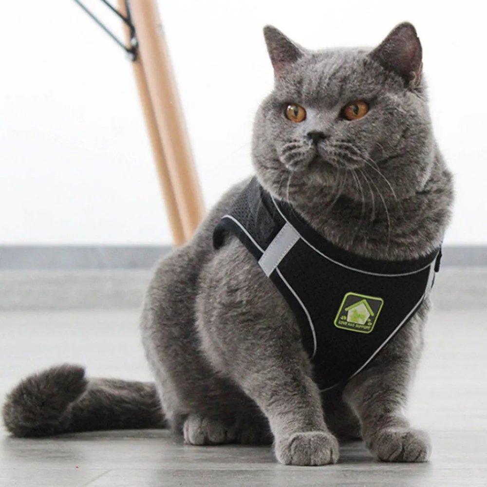 Adjustable Breathable Pet Dog Cat Harness and Leash Escape Proof Cat Vest Harness Puppy Dog Kitten Leads Reflective Cat Collar Adjustable Breathable Pet Dog Cat Harness and Leash Escape Proof Cat Vest Harness Puppy Dog Kitten Leads Reflective Cat Collar