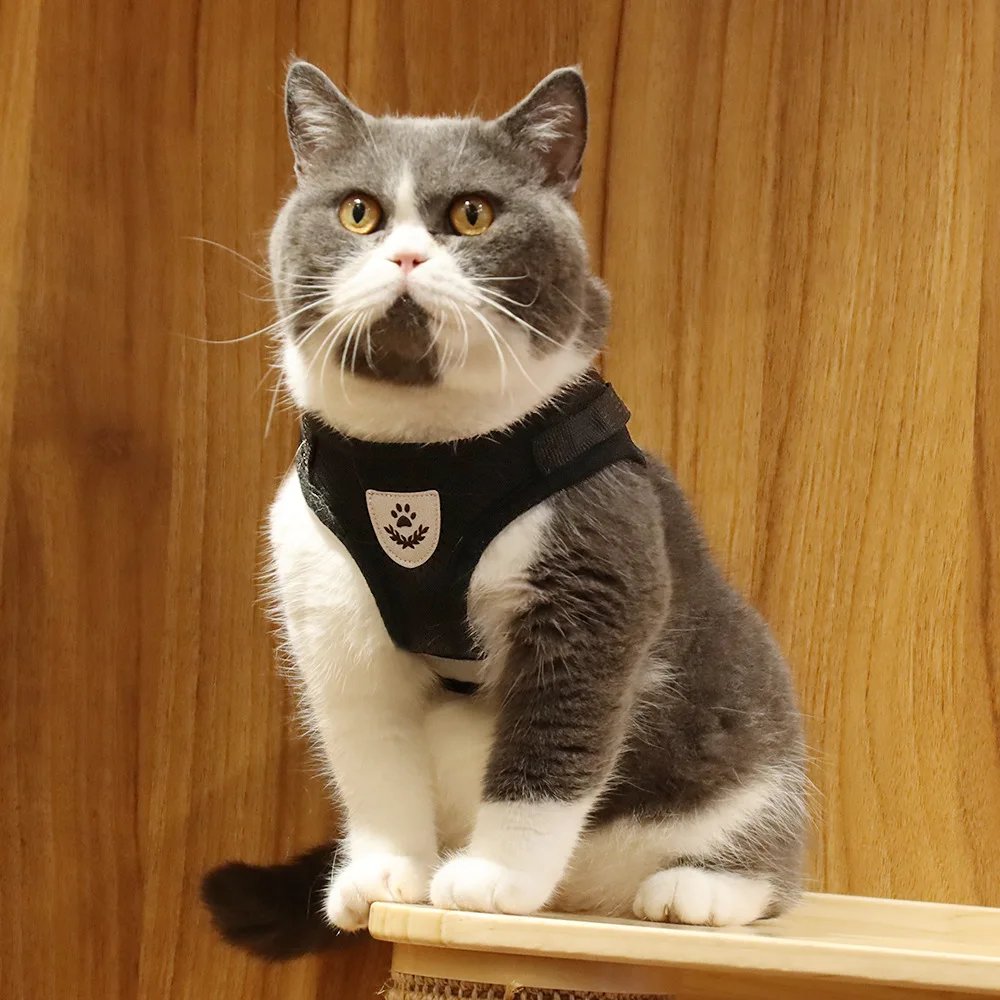 Adjustable Breathable Pet Dog Cat Harness and Leash Escape Proof Cat Vest Harness Puppy Dog Kitten Leads Reflective Cat Collar Adjustable Breathable Pet Dog Cat Harness and Leash Escape Proof Cat Vest Harness Puppy Dog Kitten Leads Reflective Cat Collar