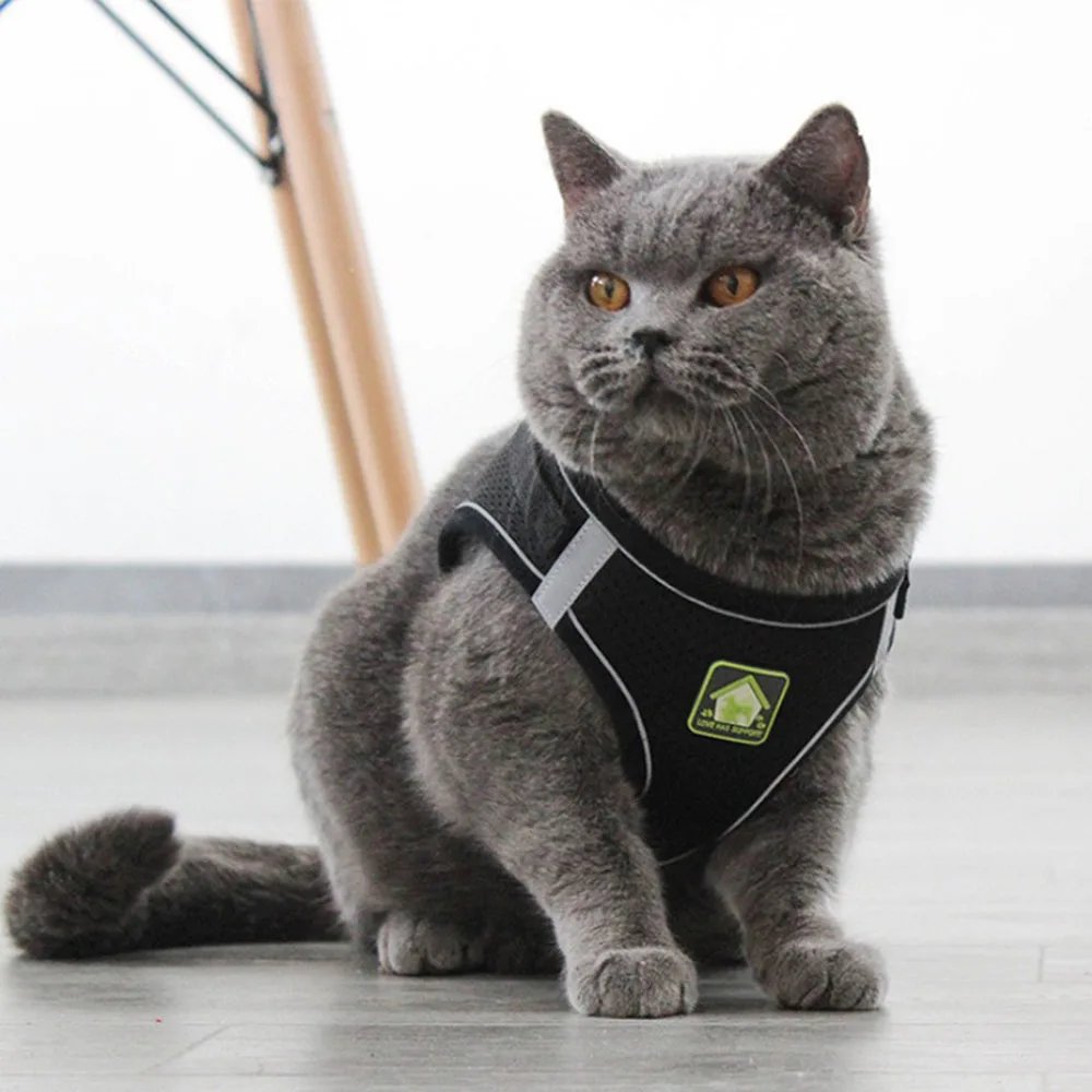 Adjustable Breathable Pet Dog Cat Harness and Leash Escape Proof Cat Vest Harness Puppy Dog Kitten Leads Reflective Cat Collar Adjustable Breathable Pet Dog Cat Harness and Leash Escape Proof Cat Vest Harness Puppy Dog Kitten Leads Reflective Cat Collar