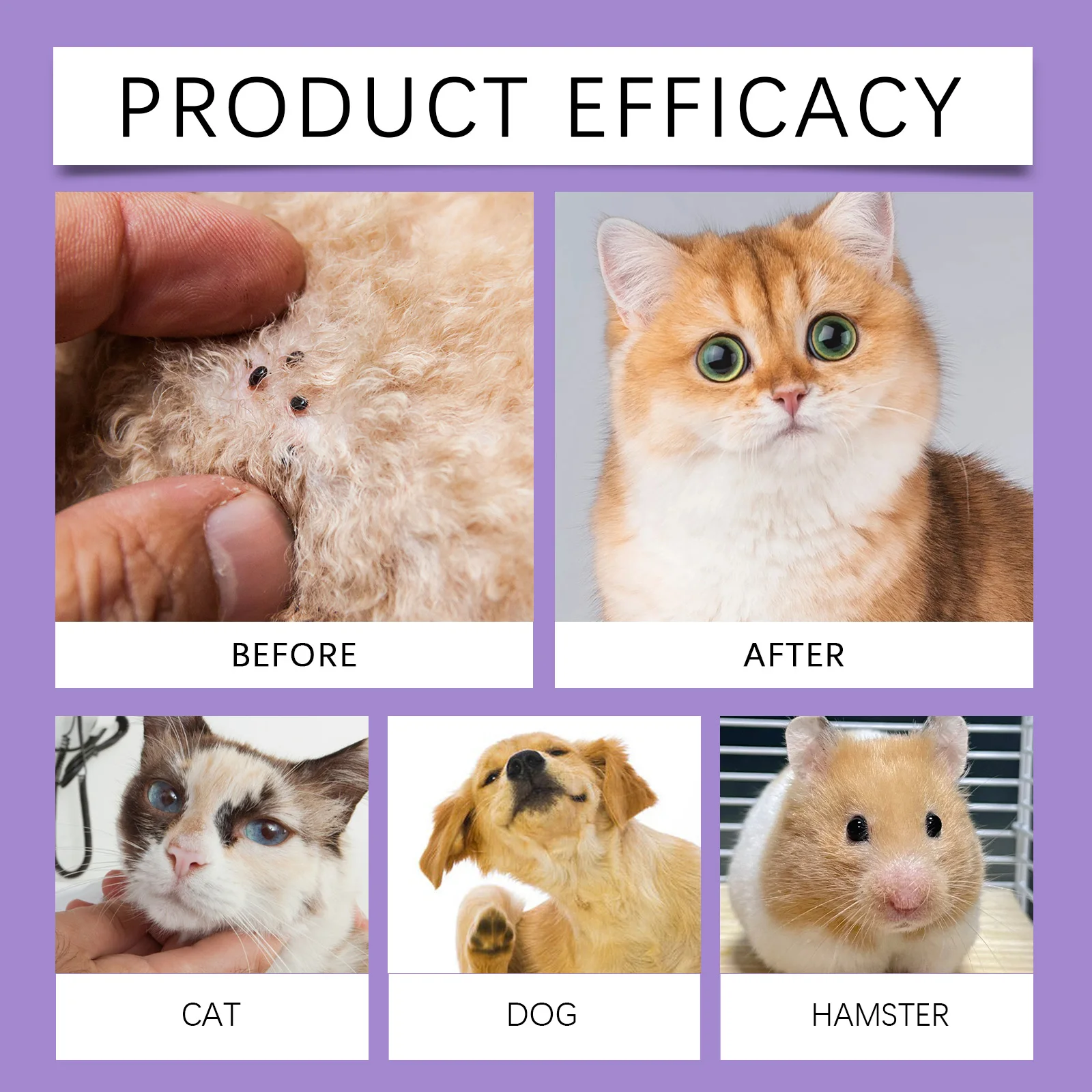 Pet Flea Repellent Spray Effectively Removing Fleas Ticks Relieve Skin Itching Natural Ingredients Non Irritating Pet Pest Spray