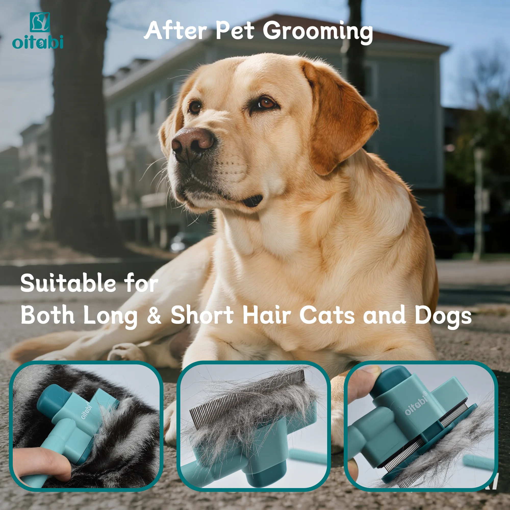 Oitabi 1/2PCS Flea Comb for Dogs and Cats with Release Button Fine Tooth Dog Comb for Pet Hair Removal, Cleaning Remove Fleas Eg Oitabi 1/2PCS Flea Comb for Dogs and Cats with Release Button Fine Tooth Dog Comb for Pet Hair Removal, Cleaning Remove Fleas Eg