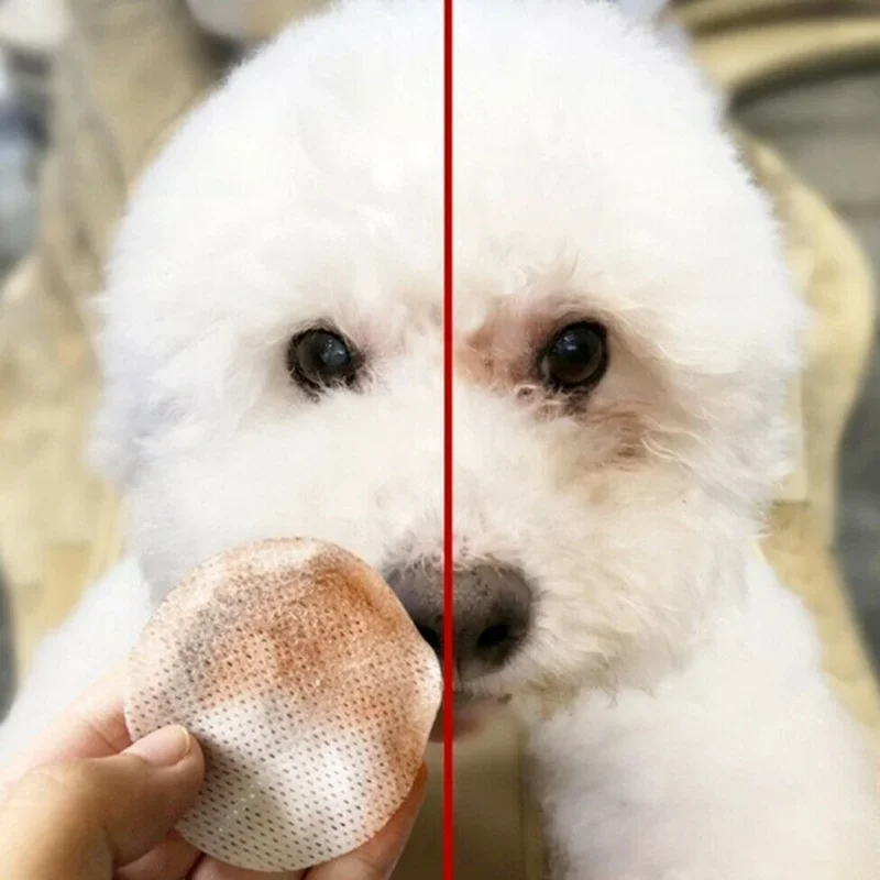 130 Pcs/set of Dog and Cat Cleaning Wipes Pet Eye Wipes Grooming Tear Stain Remover Gentle Non-foaming Wipes Towels 130 Pcs/set of Dog and Cat Cleaning Wipes Pet Eye Wipes Grooming Tear Stain Remover Gentle Non-foaming Wipes Towels