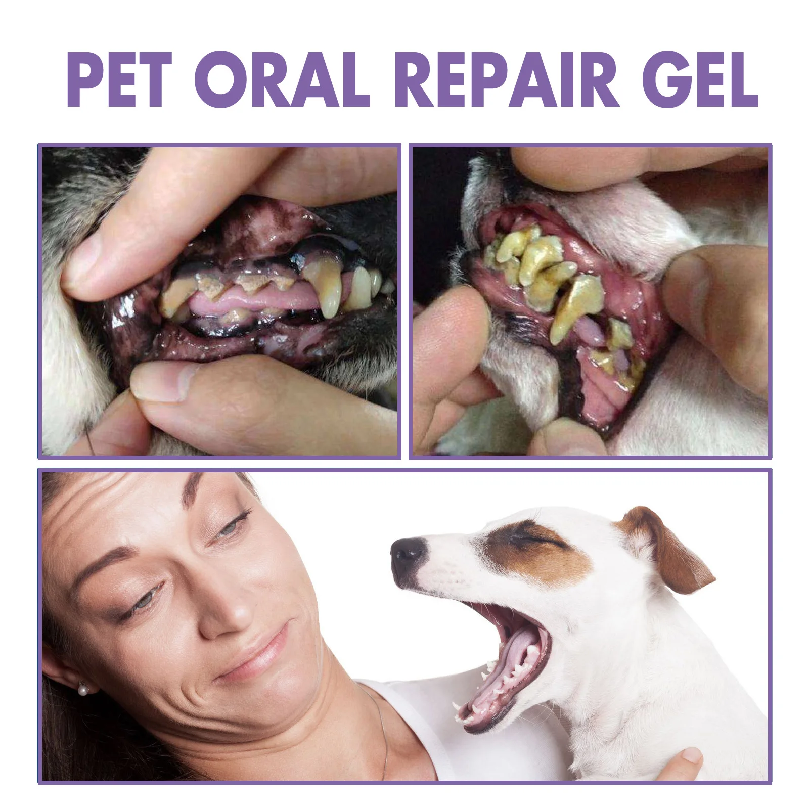 Pet Oral Repair Gel Puppy Tartar Removal Odor Eliminator Whiten Cats Dogs Teeth Stain Remover Gum Care Pet Teeth Cleaning Gel Pet Oral Repair Gel Puppy Tartar Removal Odor Eliminator Whiten Cats Dogs Teeth Stain Remover Gum Care Pet Teeth Cleaning Gel