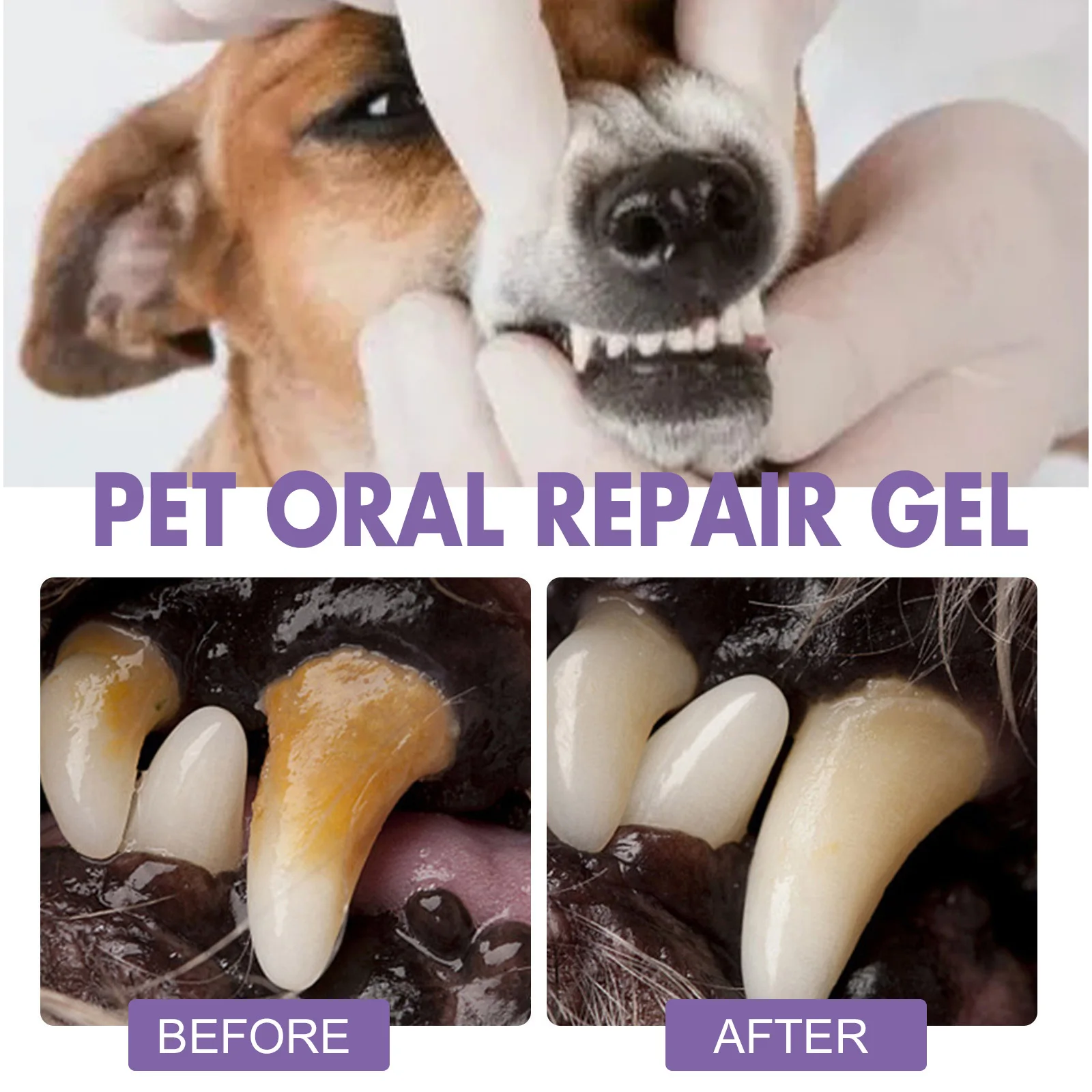 Pet Oral Repair Gel Puppy Tartar Removal Odor Eliminator Whiten Cats Dogs Teeth Stain Remover Gum Care Pet Teeth Cleaning Gel Pet Oral Repair Gel Puppy Tartar Removal Odor Eliminator Whiten Cats Dogs Teeth Stain Remover Gum Care Pet Teeth Cleaning Gel