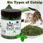 Organic 100% Natural High Quality Catnip Cattle Grass Mint Taste Funny Cat Toy New Cat Toy Interactive Cat Toys Pet Supplies