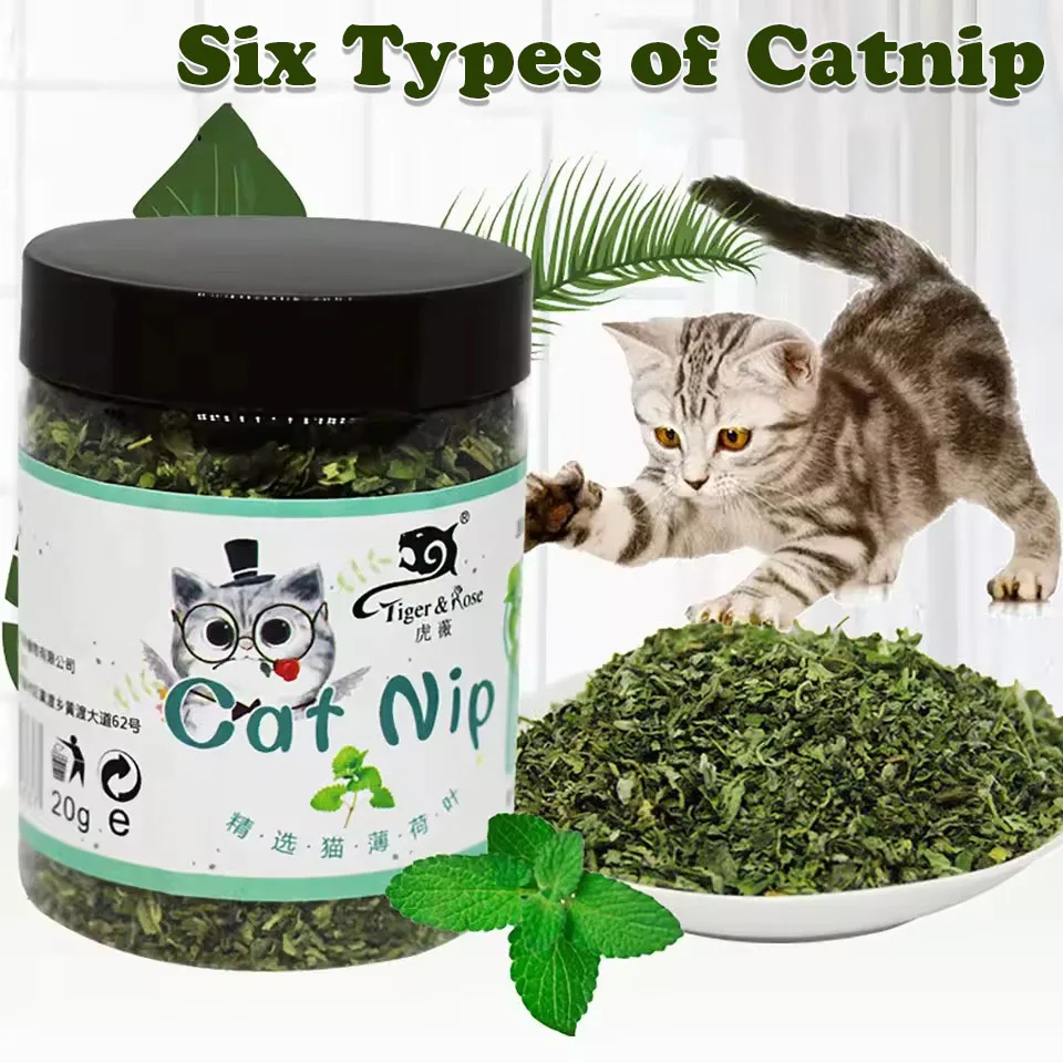 20999-fhekhb.jpg Organic 100% Natural High Quality Catnip Cattle Grass Mint Taste Funny Cat Toy New Cat Toy Interactive Cat Toys Pet Supplies - Image 1