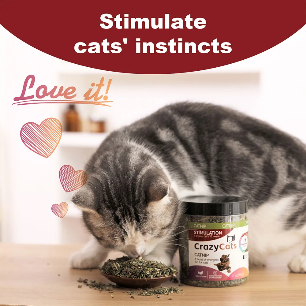 Organic 100% Natural High Quality Catnip Cattle Grass Mint Taste Funny Cat Toy New Cat Toy Interactive Cat Toys Pet Supplies Organic 100% Natural High Quality Catnip Cattle Grass Mint Taste Funny Cat Toy New Cat Toy Interactive Cat Toys Pet Supplies