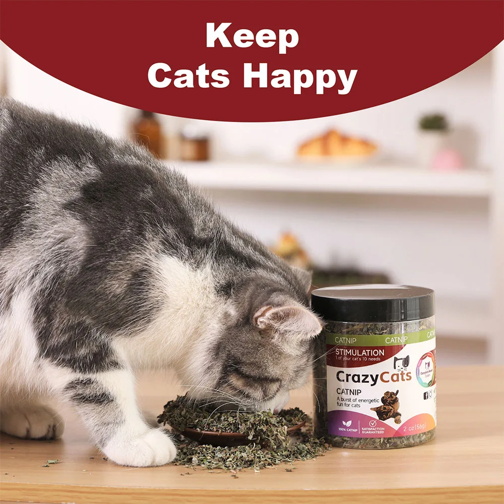 Organic 100% Natural High Quality Catnip Cattle Grass Mint Taste Funny Cat Toy New Cat Toy Interactive Cat Toys Pet Supplies Organic 100% Natural High Quality Catnip Cattle Grass Mint Taste Funny Cat Toy New Cat Toy Interactive Cat Toys Pet Supplies