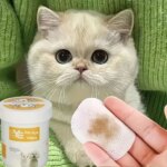 200pcs Pet Eye Wet Wipes, Eyes Wipes For Dogs & Cats - Gently Remove Tear Stain, Debris, Discharge - Image 3