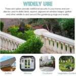 10/20/30Pcs Spikes Repeller Cat Plastic Bird Repellent Anti Pigeon Anti-bird Squirrel Garden Fences Control Transparent Spikes - Image 6