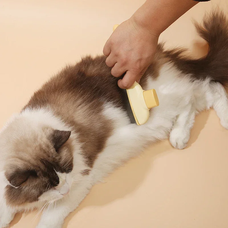 Pet Cat Comb Cat and Dog Hair Removal Brush Cleaning Hair Cleaner Beauty Cleaning Supplies Cat and Dog Universal Pet Supplies Pet Cat Comb Cat and Dog Hair Removal Brush Cleaning Hair Cleaner Beauty Cleaning Supplies Cat and Dog Universal Pet Supplies