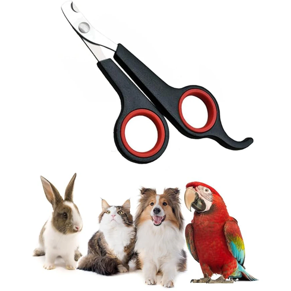 Pet Nail Claw Grooming Scissors Clippers for Dog Cat Gerbil Small Animals Newest Rabbit Home Portable Pet Products Accessories Pet Nail Claw Grooming Scissors Clippers for Dog Cat Gerbil Small Animals Newest Rabbit Home Portable Pet Products Accessories