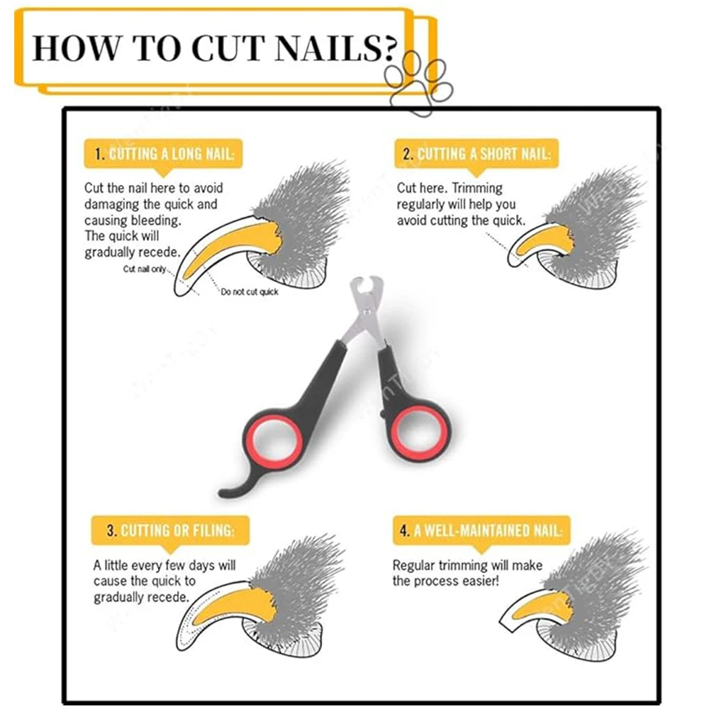 Pet Nail Claw Grooming Scissors Clippers for Dog Cat Gerbil Small Animals Newest Rabbit Home Portable Pet Products Accessories Pet Nail Claw Grooming Scissors Clippers for Dog Cat Gerbil Small Animals Newest Rabbit Home Portable Pet Products Accessories