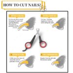 Pet Nail Claw Grooming Scissors Clippers for Dog Cat Gerbil Small Animals Newest Rabbit  Home Portable  Pet Products Accessories - Image 3