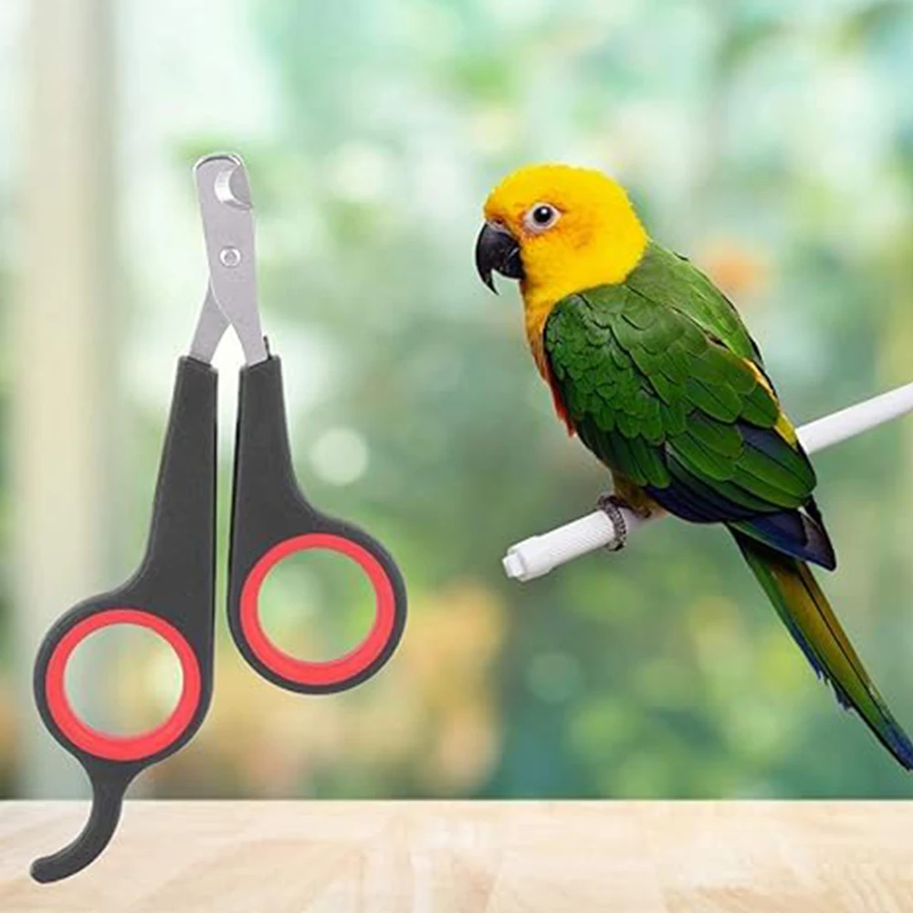 Pet Nail Claw Grooming Scissors Clippers for Dog Cat Gerbil Small Animals Newest Rabbit Home Portable Pet Products Accessories Pet Nail Claw Grooming Scissors Clippers for Dog Cat Gerbil Small Animals Newest Rabbit Home Portable Pet Products Accessories